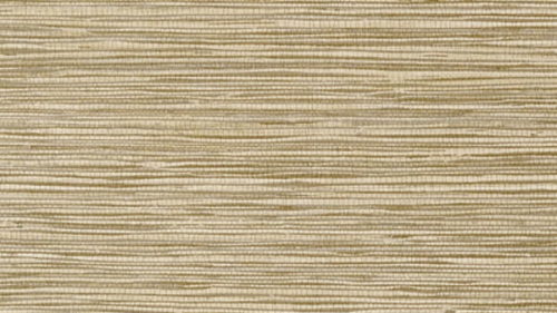 JINDO GRASS T75118